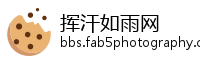 挥汗如雨网